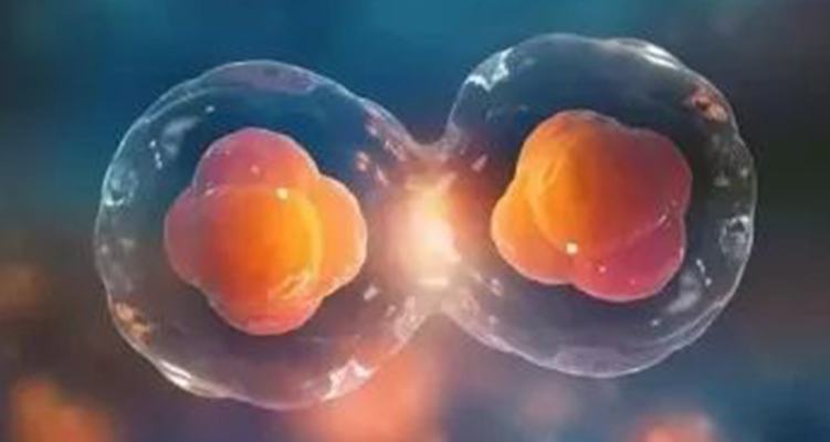 干細胞外泌體：開啟傷口愈合的無細胞治療新可能